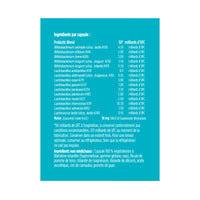 advanced gut health probiotic mood + melon extract 50 billion, 30 capsules